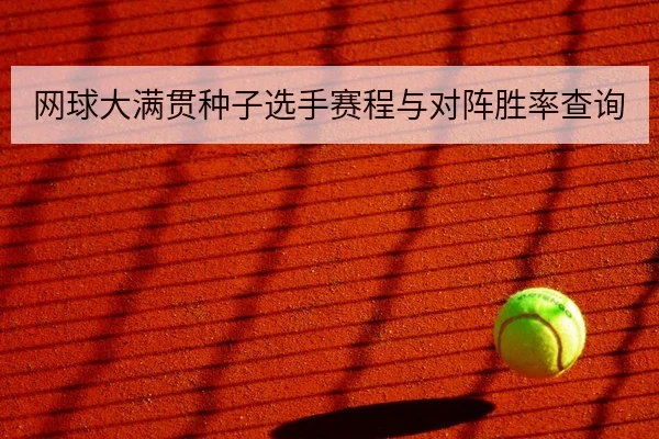 网球大满贯种子选手赛程与对阵胜率查询