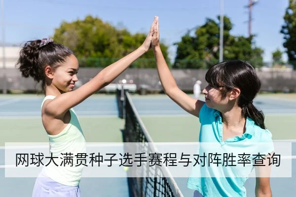 网球大满贯种子选手赛程与对阵胜率查询